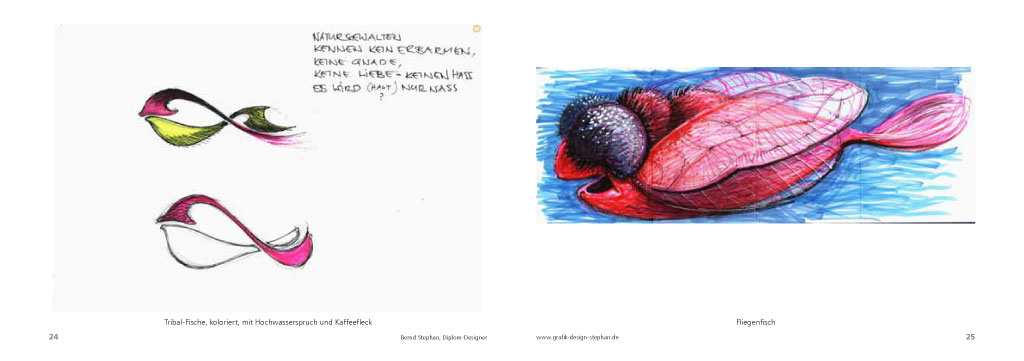 Fischaufgabe Seite 13