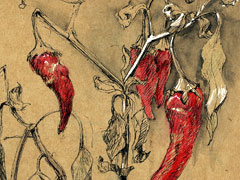 Zeichnungen nach der Natur